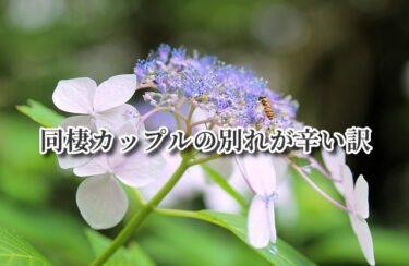 同棲カップルの別れが辛い訳